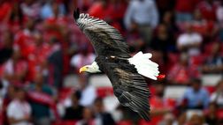 Caccia al biglietto per il derby di venerdì 17 a Lisbona: Benfica con Julian Weigl difensore centrale?
