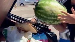 VIDEO / Diletta Leotta in vacanza con le amiche. I fans la aiutano con la spesa