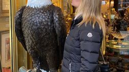 La Lazio vince ancora e Anna Falchi va in estasi: le rimane addosso…solo la sciarpa…!