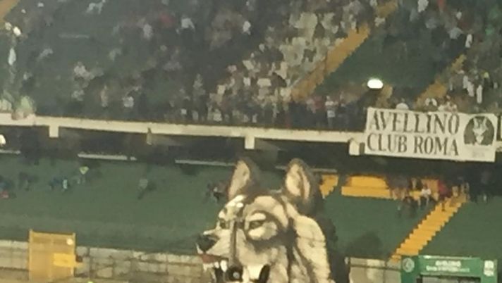 Avellino, arrivano gli stipendi: uno stimolo in più per il derby contro la Cavese al Partenio