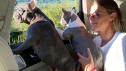 Federica Pellegrini, gita domenicale con i suoi due cuccioli
