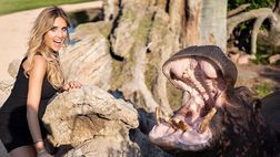 Shooting a porte chiuse per Michela Persico in mezzo ai suoi amati animali: ecco gli scatti